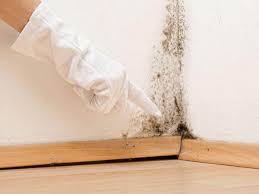 Reliable Aurora, OH Mold Prevention & Removal  Solutions